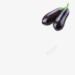 紫茄子两个紫色长茄子高清图片