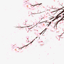 春日樱花唯美樱花春日赏花元素高清图片