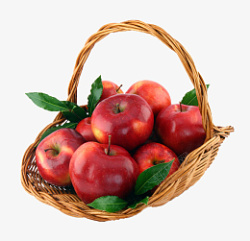 一大篮子红苹果素材