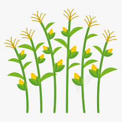 农场耕种卡通矢量正在生长的玉米高清图片