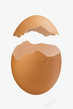 鸡蛋组合鸡蛋壳组合素材高清图片