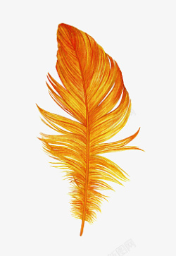 橙色羽毛元素素材