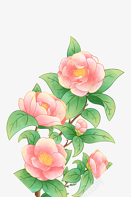 山茶花插画花png免抠素材_新图网 https://ixintu.com 山茶花 插画 花 手绘花