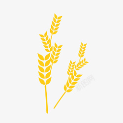 农村秋天金黄色小麦矢量麦穗高清图片