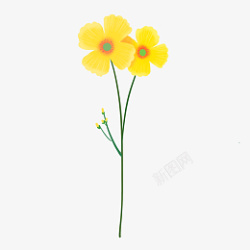 清新花卉手绘春天植物黄色小花高清图片