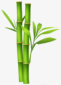 高清绿色竹子图片1素材