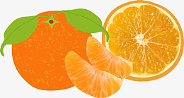 橘子免扣卡通手绘橙色png免抠素材_新图网 https://ixintu.com 橘子 免扣 手绘 橙色