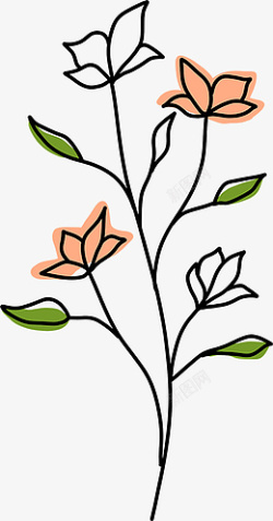 手绘植物插画鲜花素材