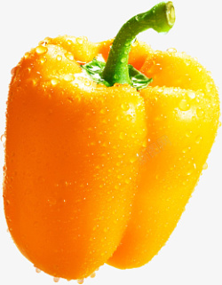 乳椒金黄色的甜椒高清图片