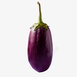 一个茄子一个紫色大茄子高清图片