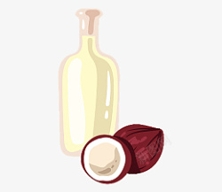 椰子油椰子油和瓶子高清图片