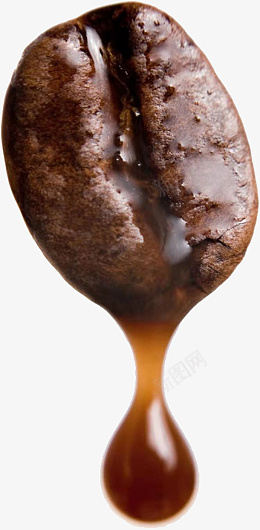 一个咖啡豆效果png免抠素材_新图网 https://ixintu.com 一个咖啡豆 咖啡豆 咖啡 咖啡豆效果