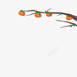 成熟柿子水彩插画立秋黄橙橙的柿子高清图片