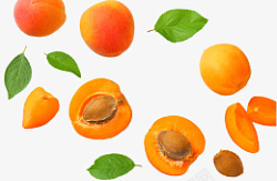 黄桃水果叶子素材