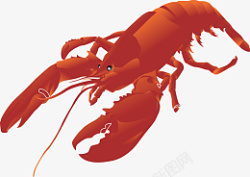 手绘卡通龙虾png素材