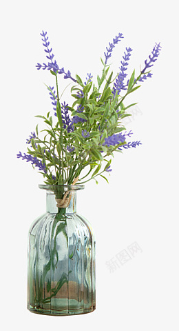 插在瓶子里的花束png免抠素材_新图网 https://ixintu.com 瓶子 插着 花束 紫色 绿色 花草 自然