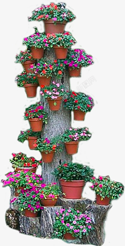 花柱花樽树干与花盆组合高清图片