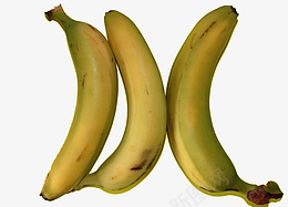 水果香蕉黄色png免抠素材_新图网 https://ixintu.com 水果 香蕉 黄色 banana