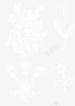 花草植物免抠图片素材png免抠素材_新图网 https://ixintu.com 花 草 图片 素材