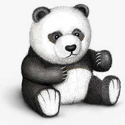 PandaIconpng免抠素材_新图网 https://ixintu.com panda animal