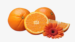 橘子橙子水果冰糖橙素材