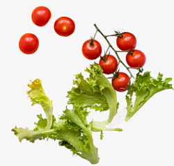一串西红柿生菜和小西红柿高清图片