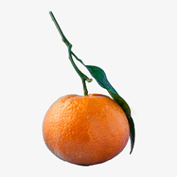白底水果橙子高清素材高清图片