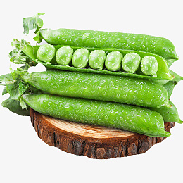新鲜的甜豆雪豆png免抠素材_新图网 https://ixintu.com 雪豆 甜豆 雪豆节 豌豆