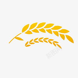 黄色的麦穗免抠图png免抠素材_新图网 https://ixintu.com 黄色的麦穗 新鲜果实 生态果实 免抠图 农做物 植被