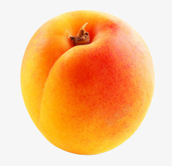 水果杏杏子水果图片高清图片
