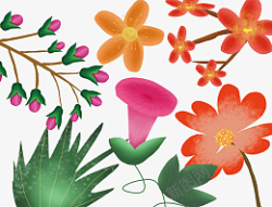花草插画插画手绘植物高清图片