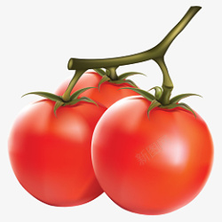 番茄卡通西红柿素材