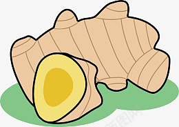 手绘新鲜的姜ai免抠素材_新图网 https://ixintu.com 手绘 姜 png 矢量