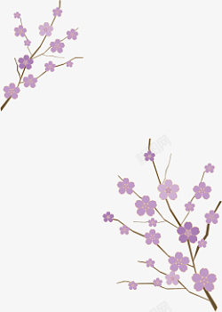 紫色春樱枝头展素材