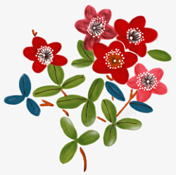 红色的花素材