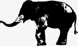 黑白大象矢量图动物素材
