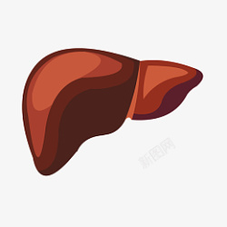 卡通肝脏图片手绘人体器官肝脏矢量免抠素材高清图片