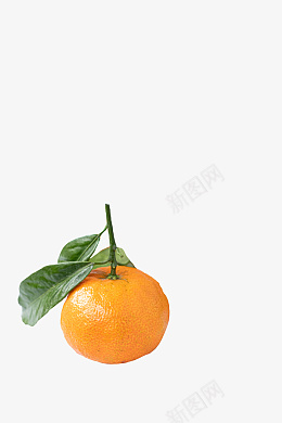 一个完成的新鲜橘子png免抠素材_新图网 https://ixintu.com 橘子 水果 叶子 橙子