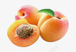 新鲜杏子新鲜大黄杏杏子高清图片