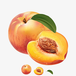桃子水果矢量图素材
