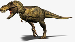 恐龙霸王龙1png免抠素材_新图网 https://ixintu.com 恐龙 霸王龙 侏罗纪 动物图片
