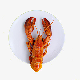 煮熟的大龙虾png免抠素材_新图网 https://ixintu.com 煮熟 的 大 龙虾