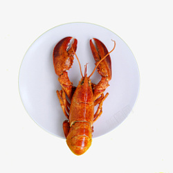 煮熟的龙虾煮熟的大龙虾高清图片