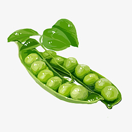手绘蔬菜豌豆插画png免抠素材_新图网 https://ixintu.com 新鲜的蔬菜 有机的蔬菜 绿色的叶子 绿色的豌豆 豆类的蔬菜 树叶
