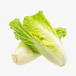 新鲜白菜图片psd免抠素材_新图网 https://ixintu.com 白菜 蔬菜 食物 食品 绿色食品