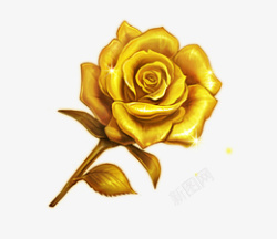 金色的玫瑰花装饰图案素材