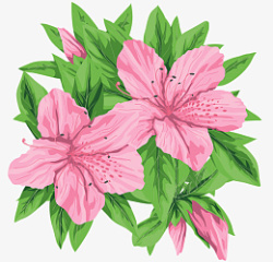 卡通粉色百合植物花卉图片素材