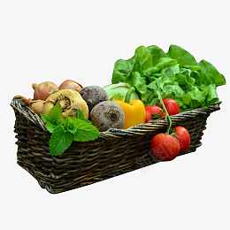 一篮子美味蔬菜png免抠素材_新图网 https://ixintu.com 一篮子 美味 蔬 菜