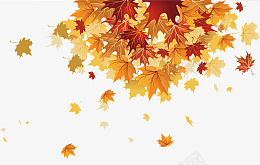 秋天的树叶装饰png免抠素材_新图网 https://ixintu.com 秋天 树叶 手绘 装饰