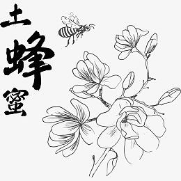 蜂蜜和花的简笔png免抠素材_新图网 https://ixintu.com 蜜蜂 土蜂蜜 蜂蜜 花 简笔画 简笔花